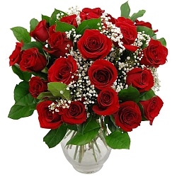 Promise 24 Red Roses Delivery UK