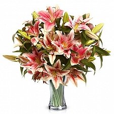 Blush Lilies Delivery UK