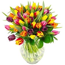 Mixed Tulips Bouquet delivery UK