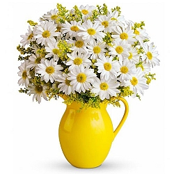 Sunny Day Pitcher of Daisies delivery to United States
