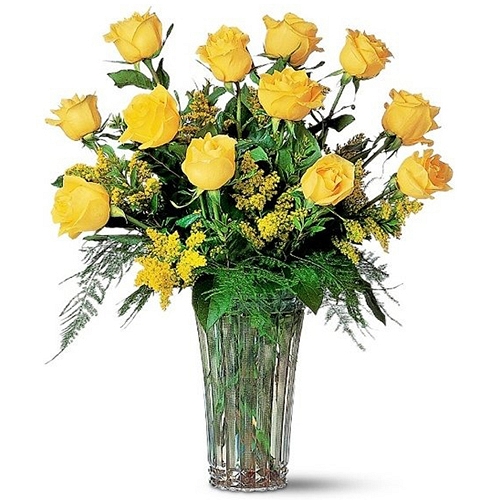 Premium Yellow Roses