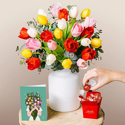 Rainbow Tulips