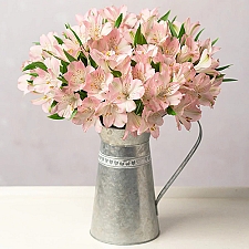 Simply Alstroemeria by Post delivery to UK [United Kingdom]